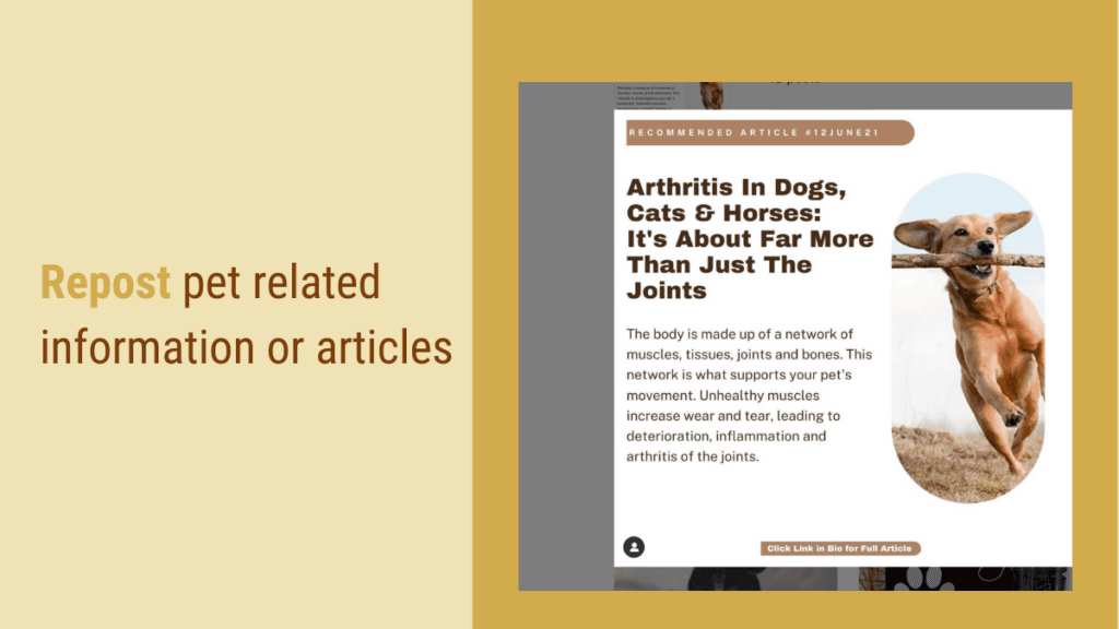repost pet related information or articles - social media for pets