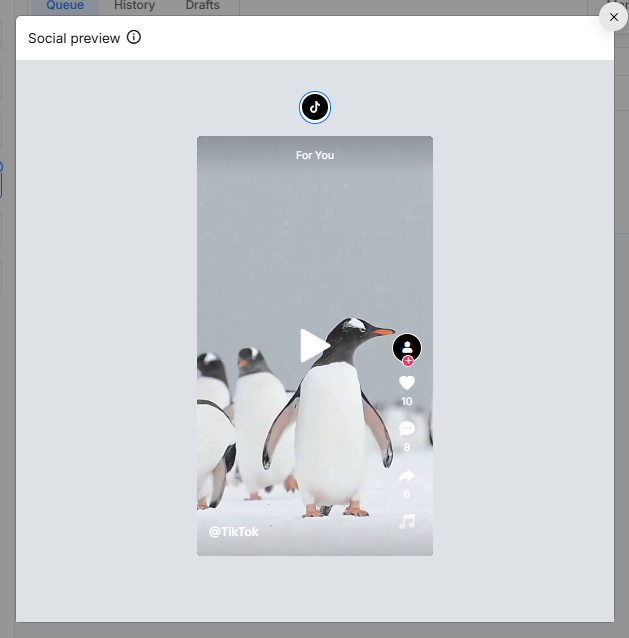 How Your Posts Will Appear on TikTok?