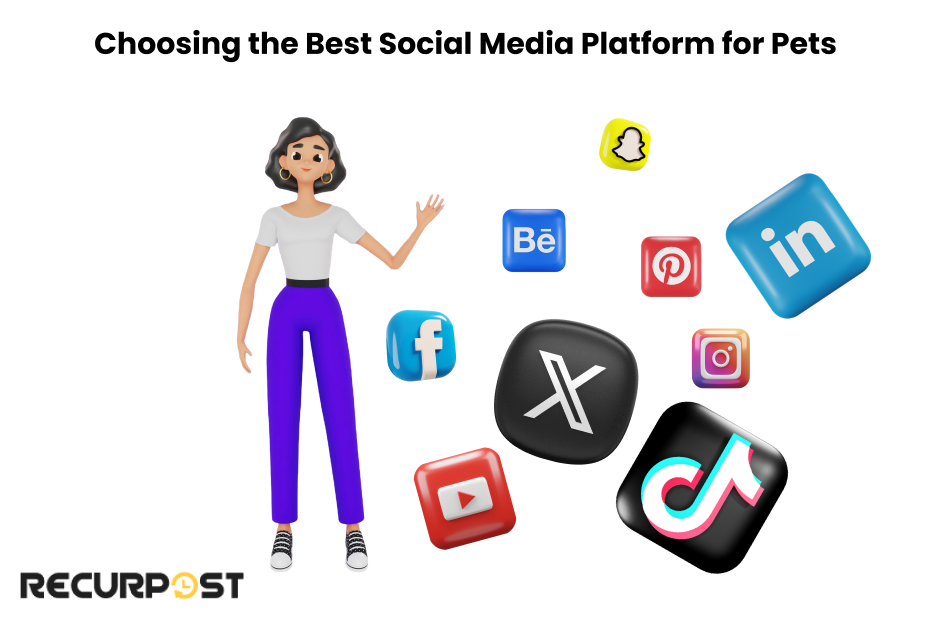 choosing the best social media platform for pet influencers