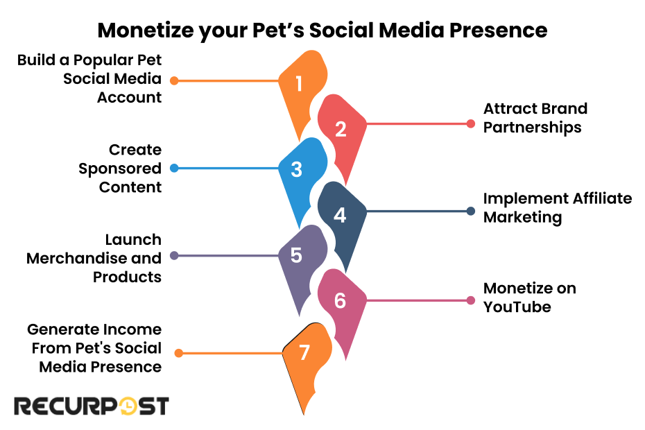 monetize your pet social media presence