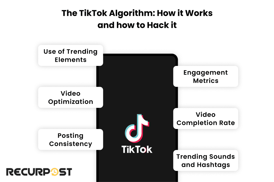 The TikTok Algorithm: How It Works and How to Hack It