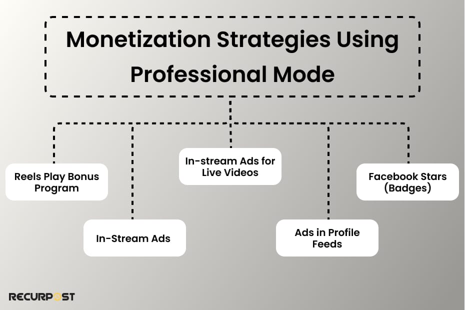 Monetization Strategies Using Professional Mode