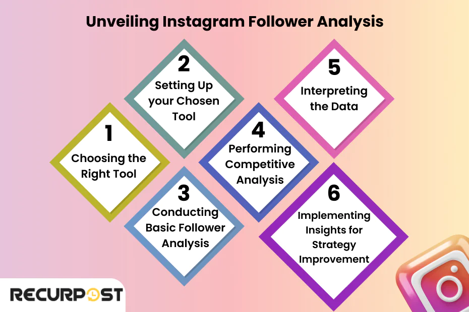 Unveiling Instagram Follower Analysis